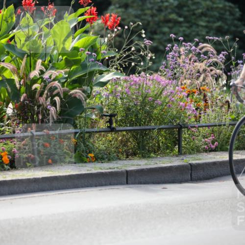08.09.2024 - Stadtparktriathlon Zöllner http://msf.ph/oto/7029014 08.09.2024 11:05:32 Radfahren 418, 420, 475, 509, 519, 545, 554 meine-sportfotos.de