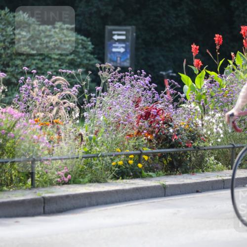 08.09.2024 - Stadtparktriathlon Zöllner http://msf.ph/oto/7029054 08.09.2024 11:05:38 Radfahren 403, 420, 509, 519, 534, 545 meine-sportfotos.de