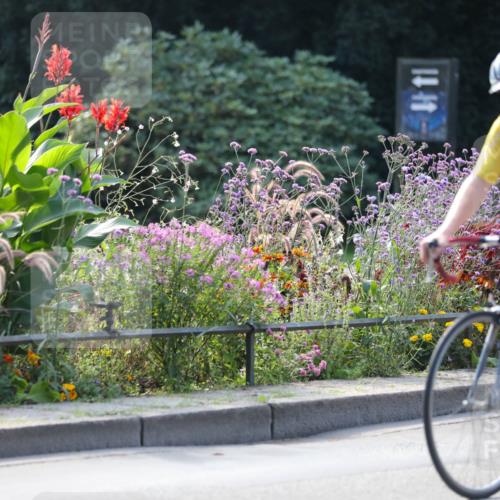 08.09.2024 - Stadtparktriathlon Zöllner http://msf.ph/oto/7029057 08.09.2024 11:05:39 Radfahren 403, 413, 509, 514, 519, 534, 545, 559 meine-sportfotos.de