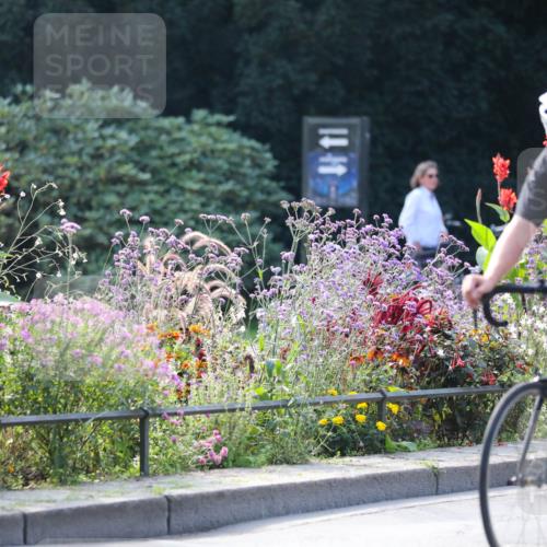 08.09.2024 - Stadtparktriathlon Zöllner http://msf.ph/oto/7029155 08.09.2024 11:06:26 Radfahren 402, 455 meine-sportfotos.de