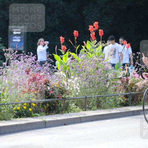 08.09.2024 - Stadtparktriathlon Zöllner http://msf.ph/oto/7029169 08.09.2024 11:06:43 Radfahren 367, 390, 428 meine-sportfotos.de