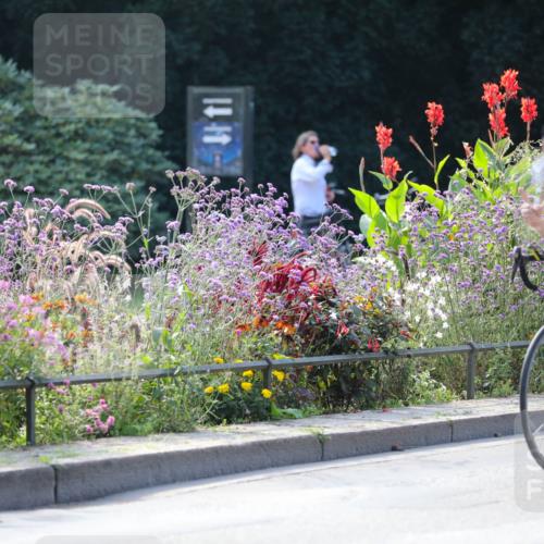 08.09.2024 - Stadtparktriathlon Zöllner http://msf.ph/oto/7029172 08.09.2024 11:06:44 Radfahren 367, 390, 428 meine-sportfotos.de