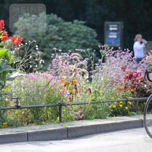 08.09.2024 - Stadtparktriathlon Zöllner http://msf.ph/oto/7029175 08.09.2024 11:06:44 Radfahren 367, 390, 428 meine-sportfotos.de