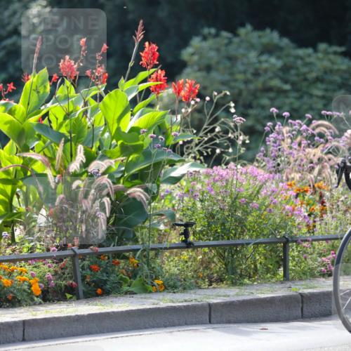 08.09.2024 - Stadtparktriathlon Zöllner http://msf.ph/oto/7029178 08.09.2024 11:06:44 Radfahren 367, 390, 428 meine-sportfotos.de