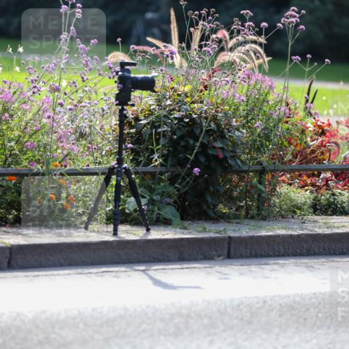 08.09.2024 - Stadtparktriathlon Zöllner http://msf.ph/oto/7029259 08.09.2024 11:07:16 Radfahren 446, 541, 547, 551, 558 meine-sportfotos.de