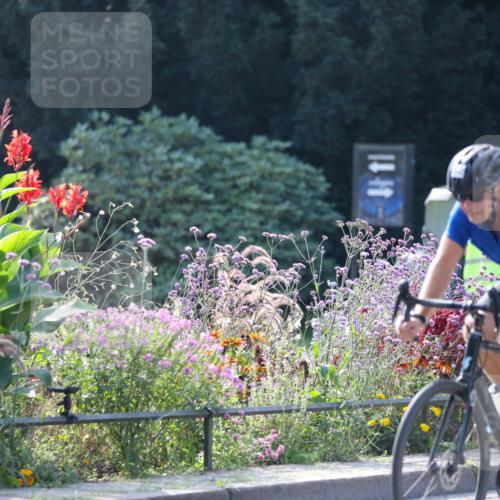 08.09.2024 - Stadtparktriathlon Zöllner http://msf.ph/oto/7029405 08.09.2024 11:08:27 Radfahren 415, 429, 470, 497, 500, 525, 542 meine-sportfotos.de