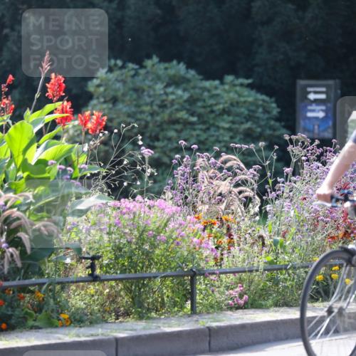 08.09.2024 - Stadtparktriathlon Zöllner http://msf.ph/oto/7029410 08.09.2024 11:08:28 Radfahren 415, 429, 470, 497, 500, 525, 542 meine-sportfotos.de