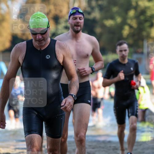 08.09.2024 - Stadtparktriathlon Michael Strokosch http://msf.ph/oto/7029411 08.09.2024 10:32:28 Schwimmen 372, 375, 389, 403, 407, 418, 421, 425, 438, 447, 459 meine-sportfotos.de