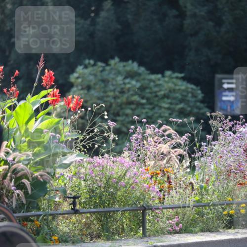 08.09.2024 - Stadtparktriathlon Zöllner http://msf.ph/oto/7029418 08.09.2024 11:08:29 Radfahren 415, 429, 470, 497, 500, 525, 542 meine-sportfotos.de