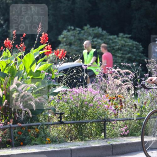 08.09.2024 - Stadtparktriathlon Zöllner http://msf.ph/oto/7029447 08.09.2024 11:08:56 Radfahren 366, 385, 440, 447, 498, 527, 821 meine-sportfotos.de