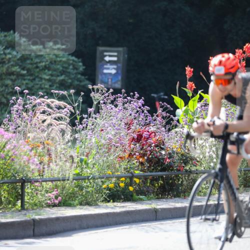 08.09.2024 - Stadtparktriathlon Zöllner http://msf.ph/oto/7029533 08.09.2024 11:09:38 Radfahren 445, 490, 537 meine-sportfotos.de