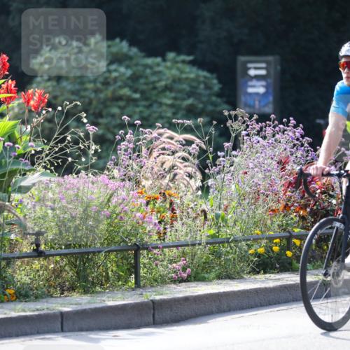 08.09.2024 - Stadtparktriathlon Zöllner http://msf.ph/oto/7029567 08.09.2024 11:10:08 Radfahren 400, 406, 411, 432, 439, 465, 468, 536 meine-sportfotos.de