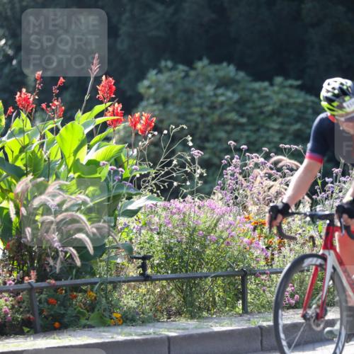 08.09.2024 - Stadtparktriathlon Zöllner http://msf.ph/oto/7029654 08.09.2024 11:10:58 Radfahren 410, 521 meine-sportfotos.de