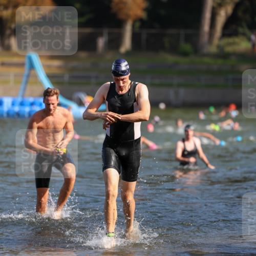 08.09.2024 - Stadtparktriathlon Michael Strokosch http://msf.ph/oto/7030752 08.09.2024 10:52:14 Schwimmen 480, 504, 531, 538 meine-sportfotos.de