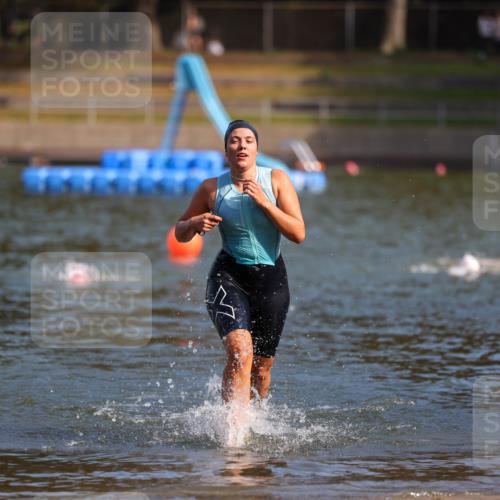08.09.2024 - Stadtparktriathlon Michael Strokosch http://msf.ph/oto/7031639 08.09.2024 11:11:39 Schwimmen 581 meine-sportfotos.de