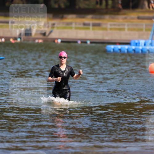08.09.2024 - Stadtparktriathlon Michael Strokosch http://msf.ph/oto/7031679 08.09.2024 11:11:54 Schwimmen 568, 593, 602 meine-sportfotos.de