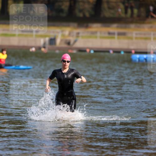 08.09.2024 - Stadtparktriathlon Michael Strokosch http://msf.ph/oto/7031681 08.09.2024 11:11:55 Schwimmen 568, 593, 602 meine-sportfotos.de