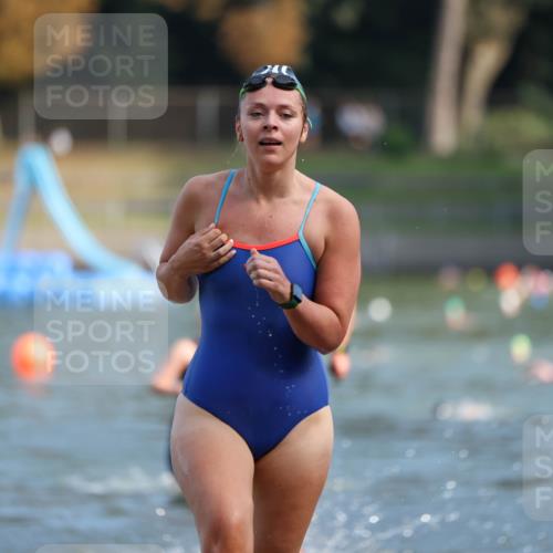 08.09.2024 - Stadtparktriathlon Michael Strokosch http://msf.ph/oto/7031745 08.09.2024 11:12:07 Schwimmen 568, 602, 644, 655 meine-sportfotos.de