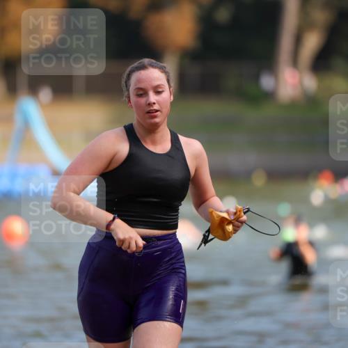 08.09.2024 - Stadtparktriathlon Michael Strokosch http://msf.ph/oto/7031787 08.09.2024 11:12:12 Schwimmen 644, 655 meine-sportfotos.de