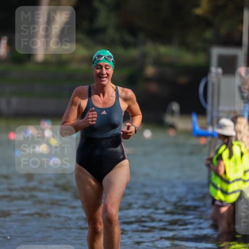 08.09.2024 - Stadtparktriathlon Michael Strokosch http://msf.ph/oto/7031912 08.09.2024 11:13:07 Schwimmen 584, 607, 616 meine-sportfotos.de