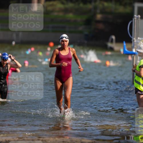 08.09.2024 - Stadtparktriathlon Michael Strokosch http://msf.ph/oto/7032020 08.09.2024 11:13:33 Schwimmen 586, 621, 648 meine-sportfotos.de