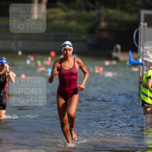 08.09.2024 - Stadtparktriathlon Michael Strokosch http://msf.ph/oto/7032029 08.09.2024 11:13:34 Schwimmen 586, 621, 648 meine-sportfotos.de