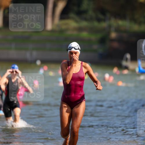 08.09.2024 - Stadtparktriathlon Michael Strokosch http://msf.ph/oto/7032034 08.09.2024 11:13:35 Schwimmen 586, 621, 648 meine-sportfotos.de