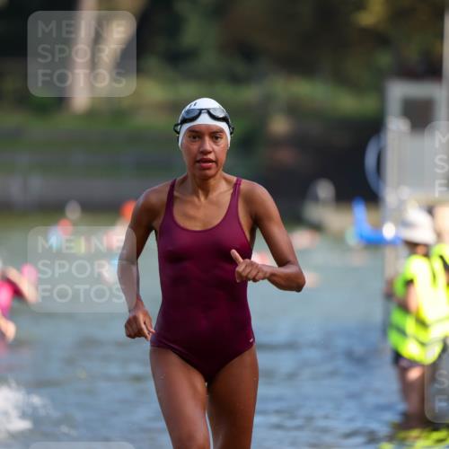 08.09.2024 - Stadtparktriathlon Michael Strokosch http://msf.ph/oto/7032042 08.09.2024 11:13:37 Schwimmen 586, 621, 640, 646, 648 meine-sportfotos.de