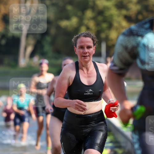 08.09.2024 - Stadtparktriathlon Michael Strokosch http://msf.ph/oto/7032342 08.09.2024 11:14:40 Schwimmen 564, 573, 589, 609, 618, 620, 630, 634, 661 meine-sportfotos.de