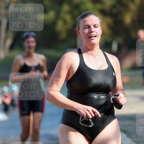 08.09.2024 - Stadtparktriathlon Michael Strokosch http://msf.ph/oto/7032356 08.09.2024 11:14:43 Schwimmen 564, 573, 589, 609, 618, 627, 630, 649, 661 meine-sportfotos.de