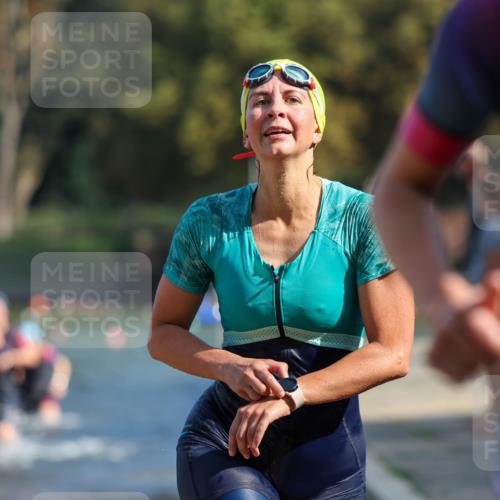 08.09.2024 - Stadtparktriathlon Michael Strokosch http://msf.ph/oto/7032380 08.09.2024 11:14:47 Schwimmen 573, 589, 590, 612, 618, 627, 630, 649, 661 meine-sportfotos.de