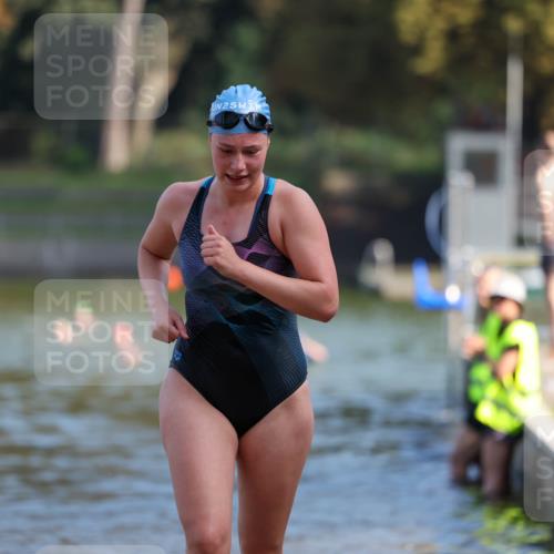 08.09.2024 - Stadtparktriathlon Michael Strokosch http://msf.ph/oto/7032766 08.09.2024 11:16:45 Schwimmen 658 meine-sportfotos.de