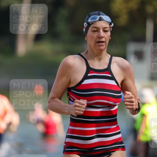 08.09.2024 - Stadtparktriathlon Michael Strokosch http://msf.ph/oto/7032835 08.09.2024 11:17:19 Schwimmen 591, 625, 628 meine-sportfotos.de