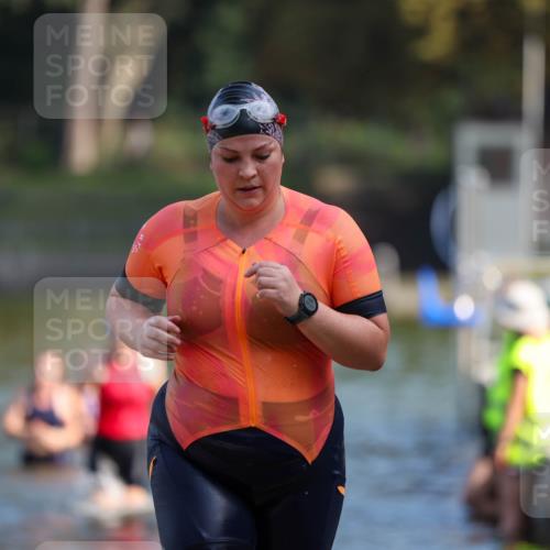 08.09.2024 - Stadtparktriathlon Michael Strokosch http://msf.ph/oto/7032857 08.09.2024 11:17:24 Schwimmen 591, 628, 659 meine-sportfotos.de