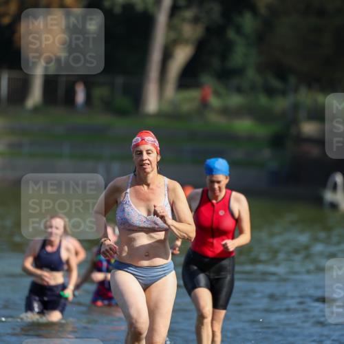 08.09.2024 - Stadtparktriathlon Michael Strokosch http://msf.ph/oto/7032861 08.09.2024 11:17:29 Schwimmen 582, 591, 617, 659 meine-sportfotos.de