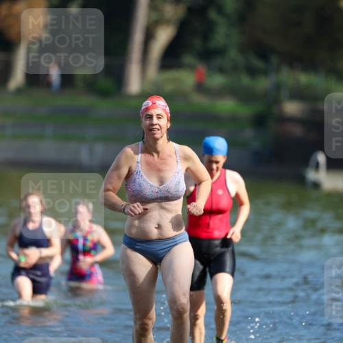 08.09.2024 - Stadtparktriathlon Michael Strokosch http://msf.ph/oto/7032863 08.09.2024 11:17:29 Schwimmen 582, 591, 617, 659 meine-sportfotos.de