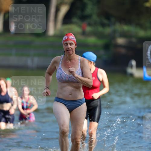 08.09.2024 - Stadtparktriathlon Michael Strokosch http://msf.ph/oto/7032865 08.09.2024 11:17:30 Schwimmen 582, 591, 617, 659 meine-sportfotos.de