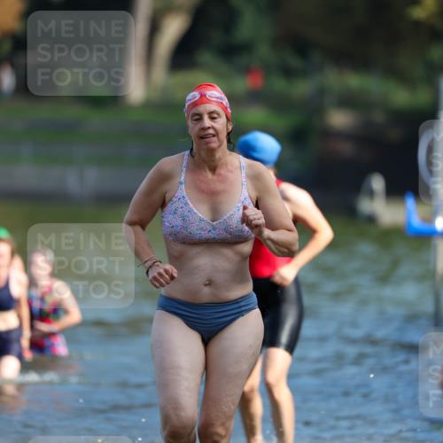 08.09.2024 - Stadtparktriathlon Michael Strokosch http://msf.ph/oto/7032871 08.09.2024 11:17:30 Schwimmen 582, 591, 617, 659 meine-sportfotos.de