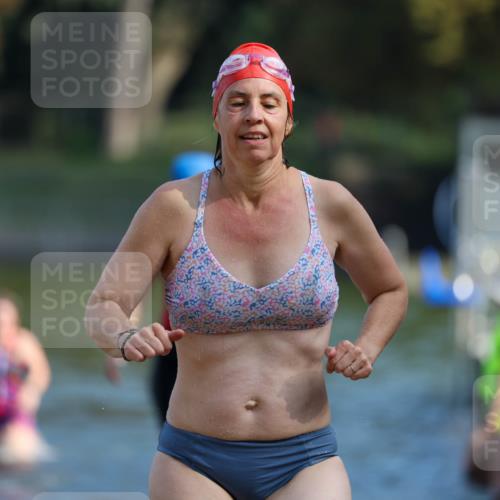 08.09.2024 - Stadtparktriathlon Michael Strokosch http://msf.ph/oto/7032881 08.09.2024 11:17:32 Schwimmen 582, 591, 617, 659 meine-sportfotos.de