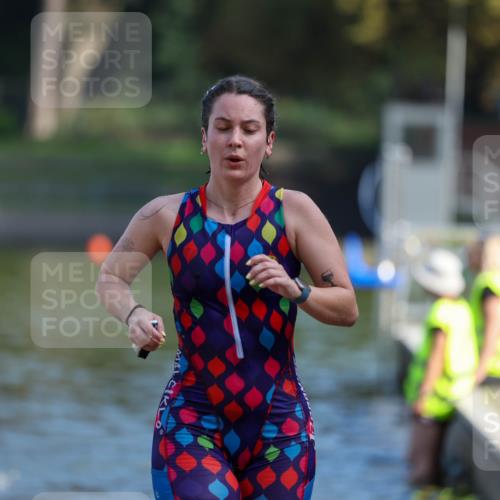 08.09.2024 - Stadtparktriathlon Michael Strokosch http://msf.ph/oto/7032915 08.09.2024 11:17:42 Schwimmen 582, 597, 617 meine-sportfotos.de