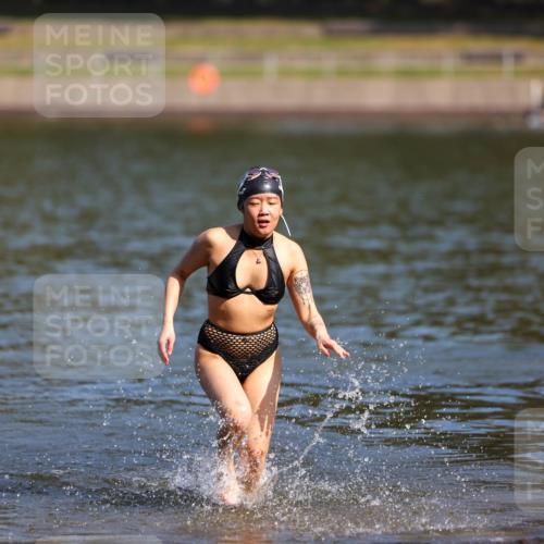 08.09.2024 - Stadtparktriathlon Michael Strokosch http://msf.ph/oto/7032950 08.09.2024 11:22:03 Schwimmen  meine-sportfotos.de