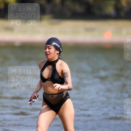 08.09.2024 - Stadtparktriathlon Michael Strokosch http://msf.ph/oto/7032958 08.09.2024 11:22:06 Schwimmen  meine-sportfotos.de