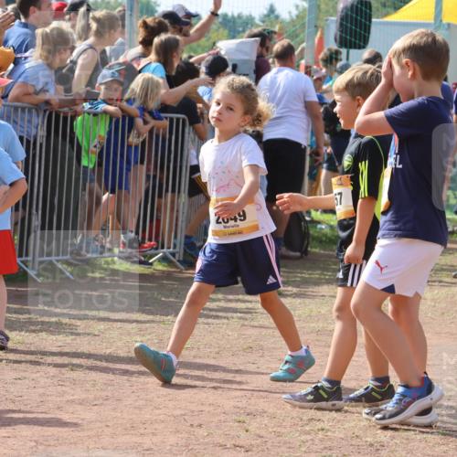 08.09.2024 - Airport Race Strokosch-Dieckow http://msf.ph/oto/7035545 08.09.2024 11:13:50 Ziel  meine-sportfotos.de