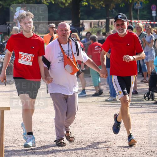 08.09.2024 - Stadtparktriathlon Luisa Fischer http://msf.ph/oto/7035555 08.09.2024 11:19:14 Ziel 229 meine-sportfotos.de
