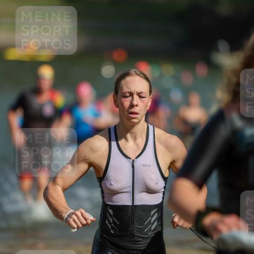 08.09.2024 - Stadtparktriathlon Michael Strokosch http://msf.ph/oto/7035751 08.09.2024 12:14:21 Schwimmen 853, 857, 875, 881, 884, 912, 925, 926, 940 meine-sportfotos.de