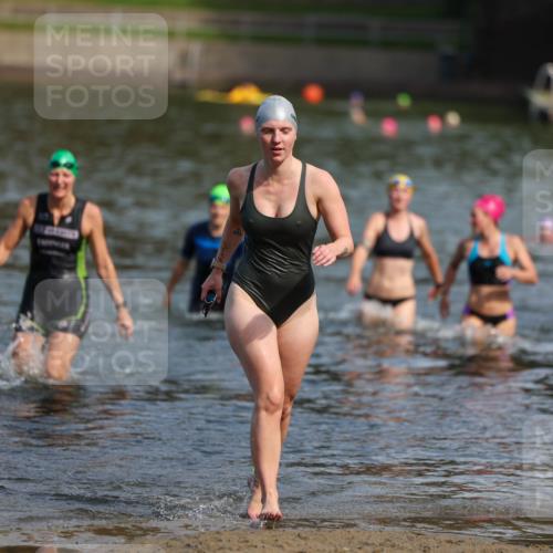 08.09.2024 - Stadtparktriathlon Michael Strokosch http://msf.ph/oto/7035995 08.09.2024 12:15:43 Schwimmen 911, 914, 922, 933, 934 meine-sportfotos.de