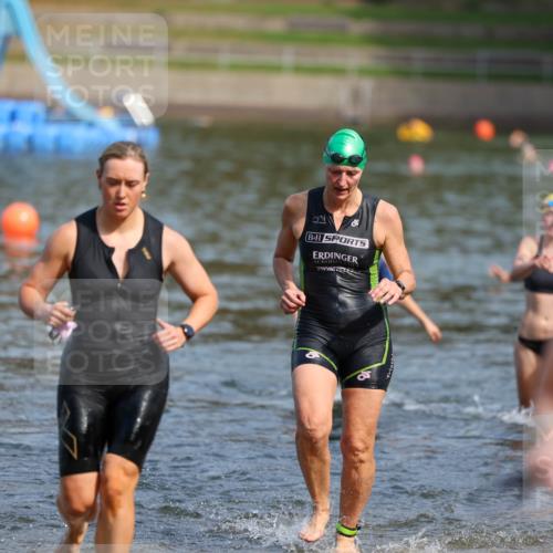 08.09.2024 - Stadtparktriathlon Michael Strokosch http://msf.ph/oto/7036024 08.09.2024 12:15:47 Schwimmen 911, 913, 914, 922, 933, 934 meine-sportfotos.de