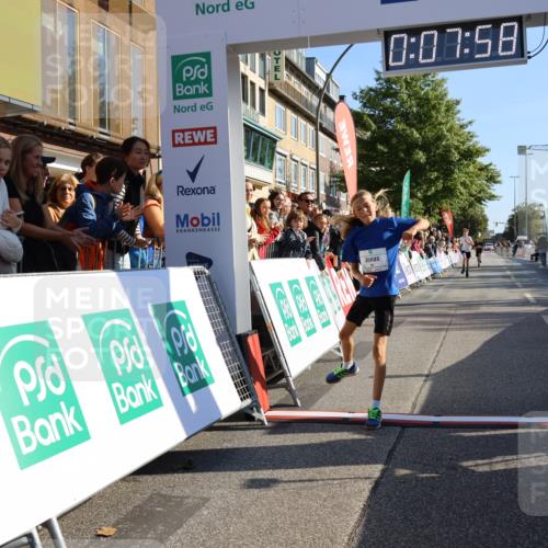 15.09.2024 - PSD Bank Halbmarathon Strokosch-Dieckow http://msf.ph/oto/7062477 15.09.2024 10:25:05 Ziel 61, 131, 211 meine-sportfotos.de