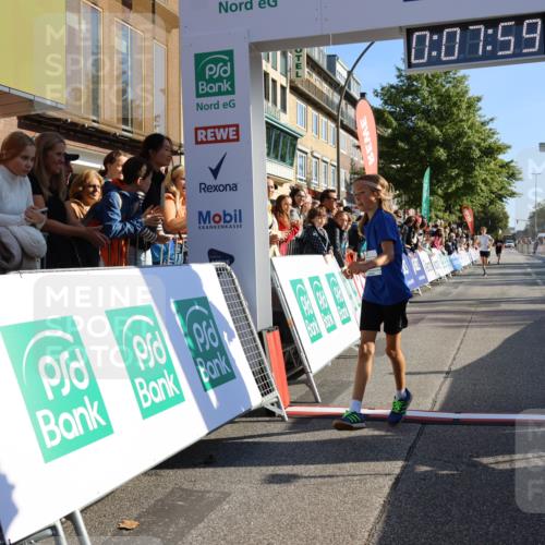 15.09.2024 - PSD Bank Halbmarathon Strokosch-Dieckow http://msf.ph/oto/7062508 15.09.2024 10:25:05 Ziel 61, 131, 211 meine-sportfotos.de