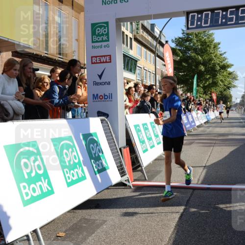 15.09.2024 - PSD Bank Halbmarathon Strokosch-Dieckow http://msf.ph/oto/7062521 15.09.2024 10:25:05 Ziel 61, 131, 211 meine-sportfotos.de